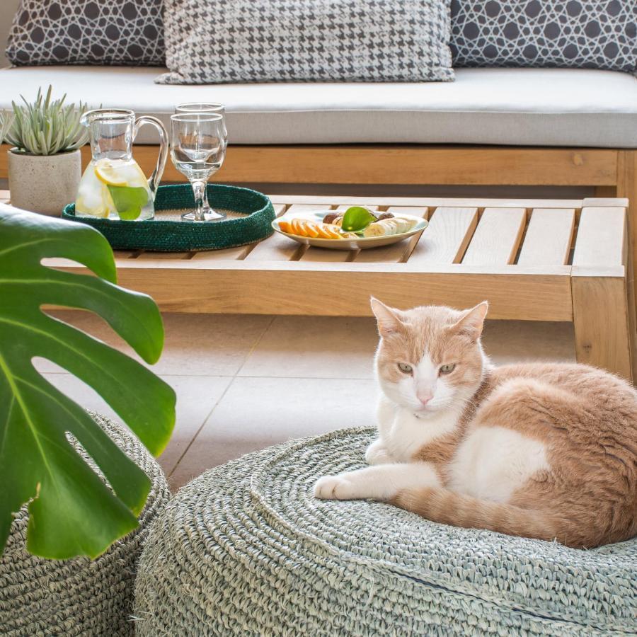 Tree Olive Athens Apartment Luaran gambar